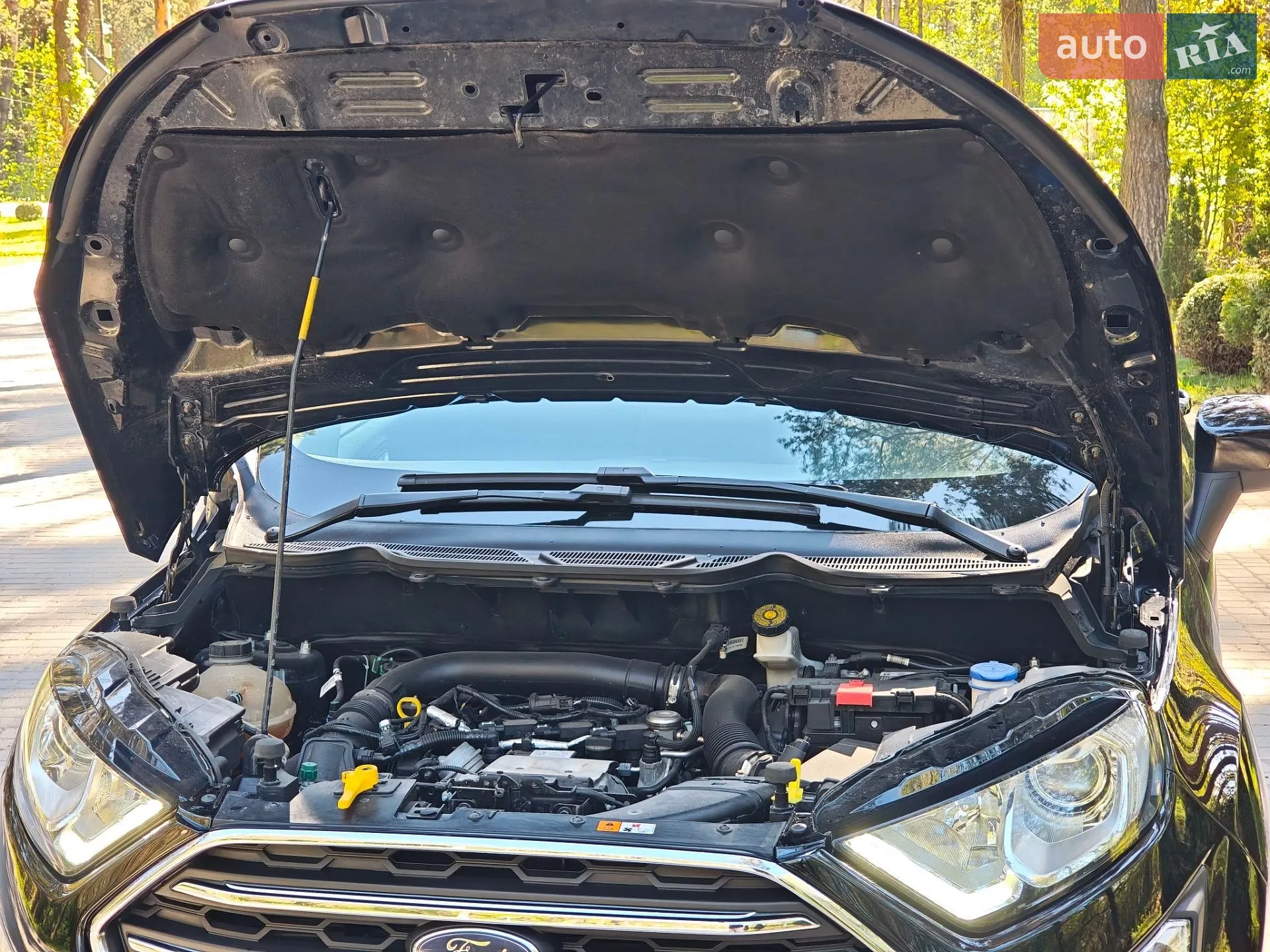 2018 Ford EcoSport - мініатюра 64