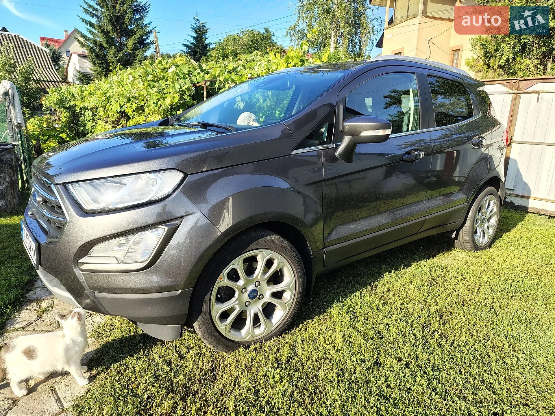 2020 Ford EcoSport - мініатюра 3