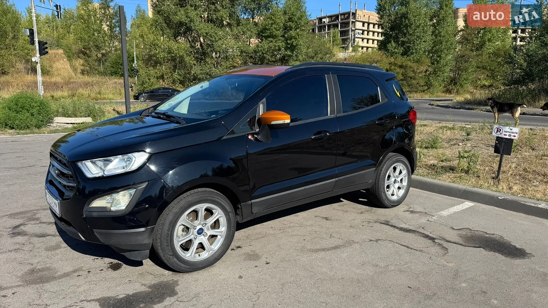 2018 Ford EcoSport - мініатюра 18