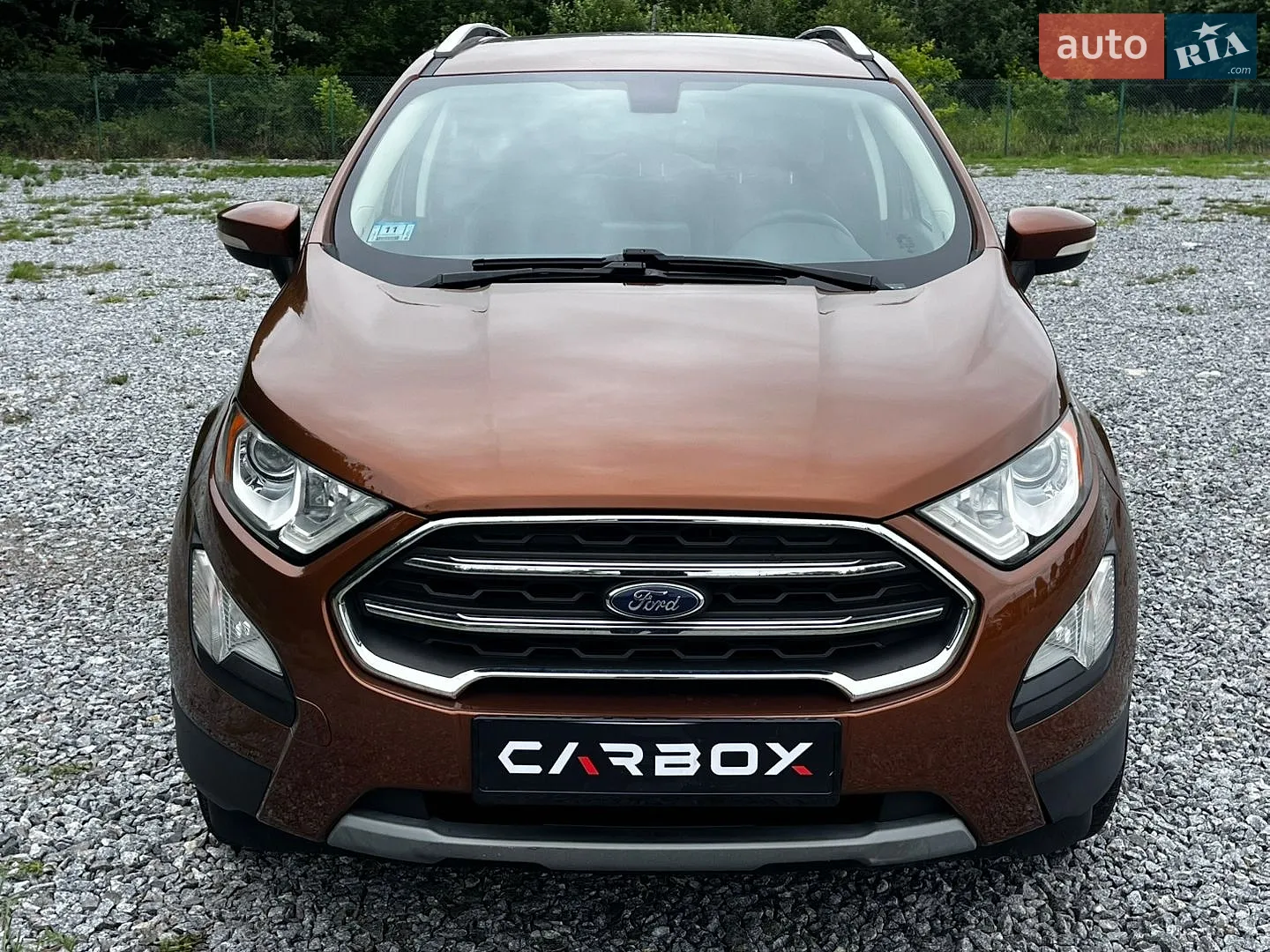 2018 Ford EcoSport - мініатюра 2