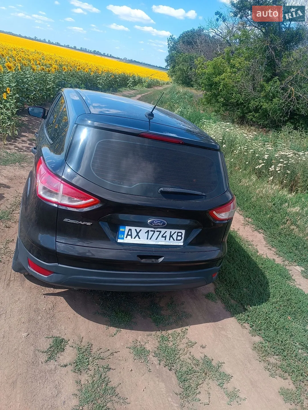 2014 Ford EcoSport - мініатюра 3