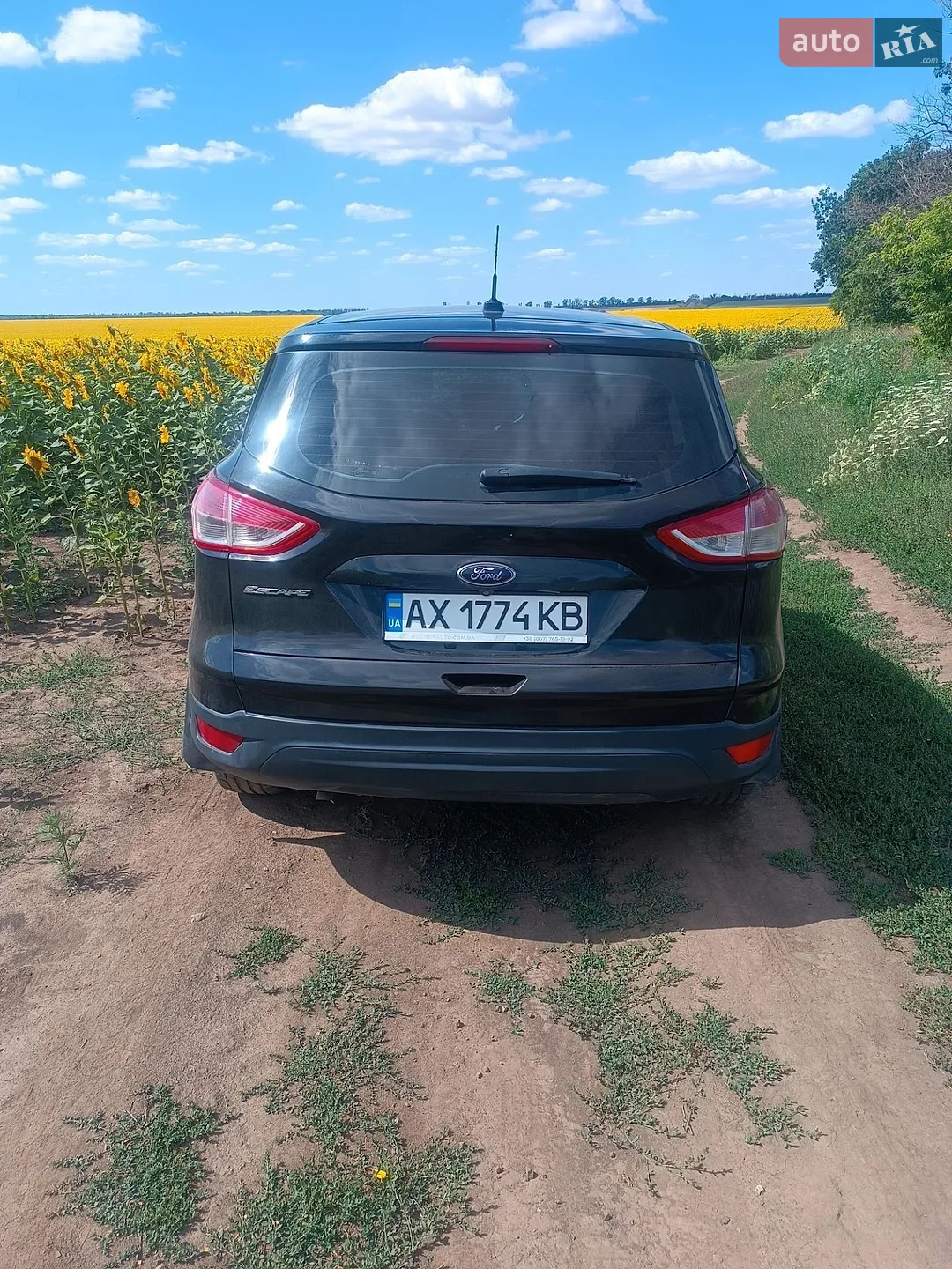 2014 Ford EcoSport - мініатюра 14
