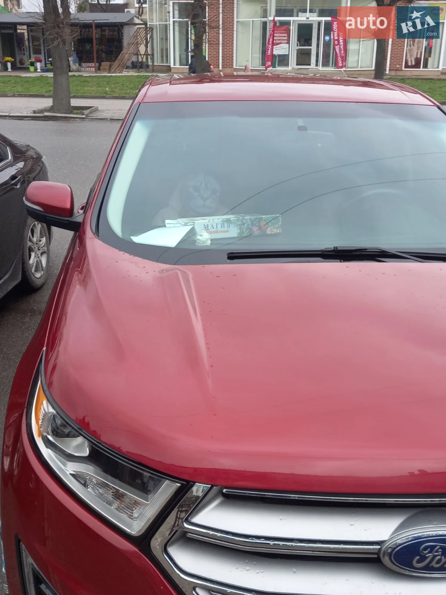 2017 Ford Edge - мініатюра 15