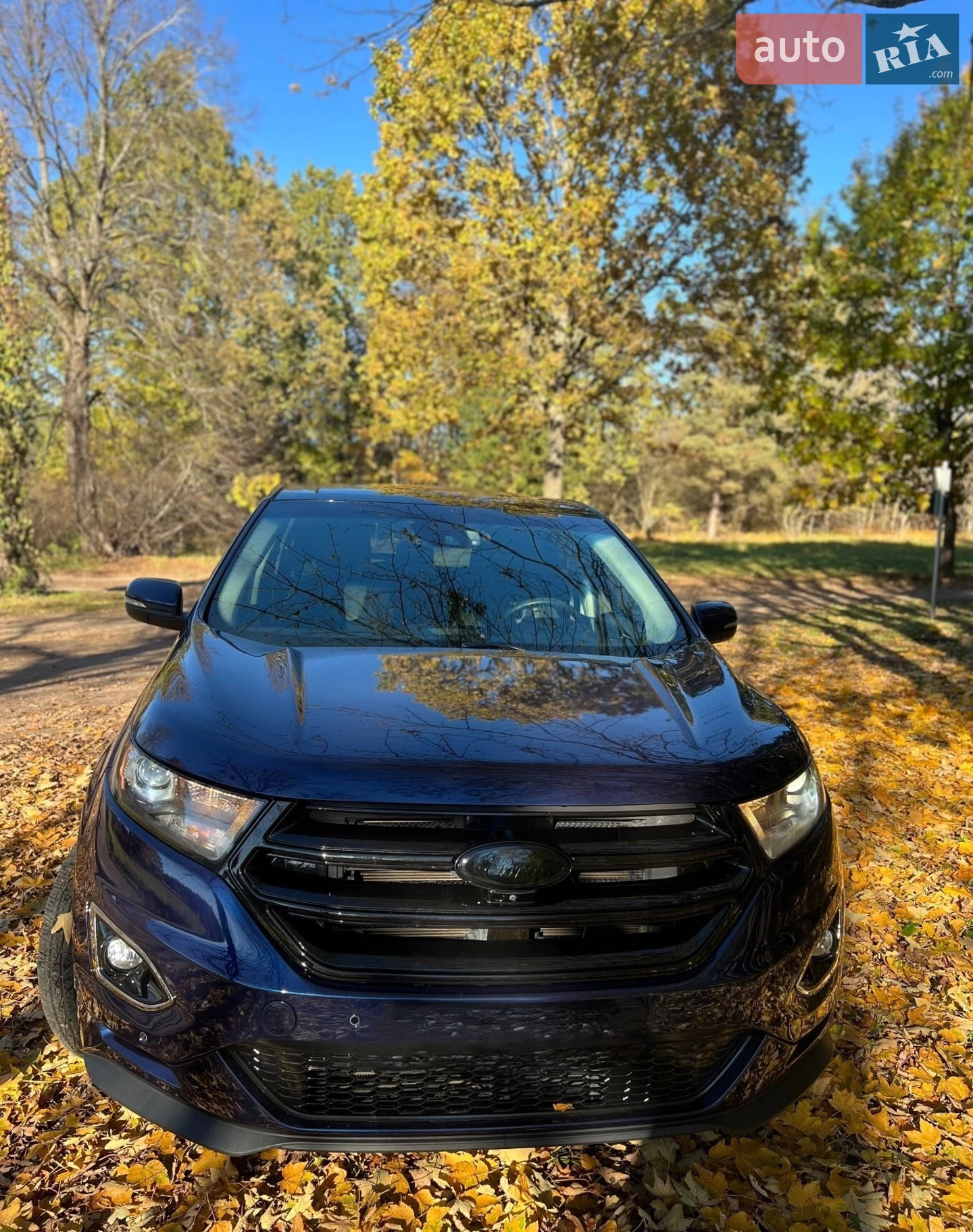 2016 Ford Edge - мініатюра 3