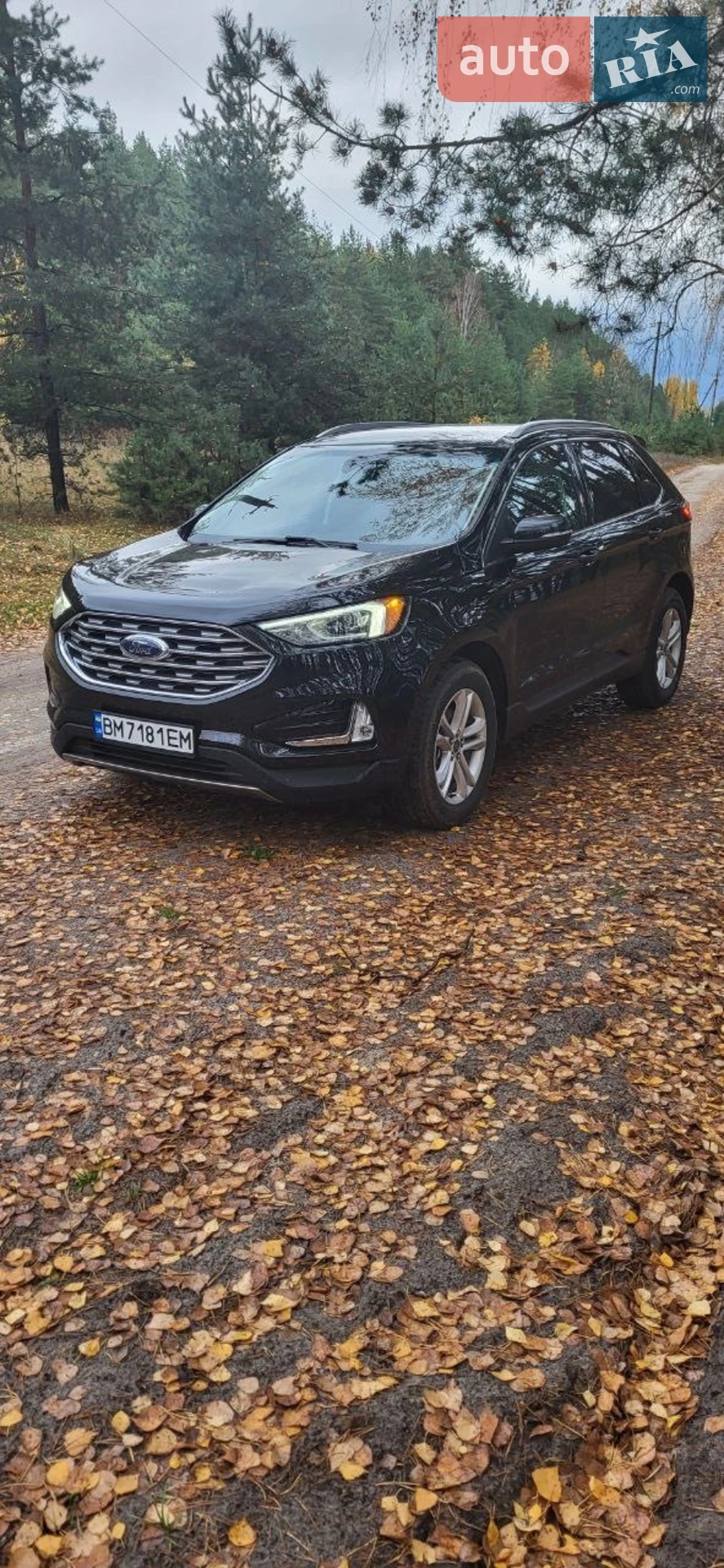 2019 Ford Edge - мініатюра 4