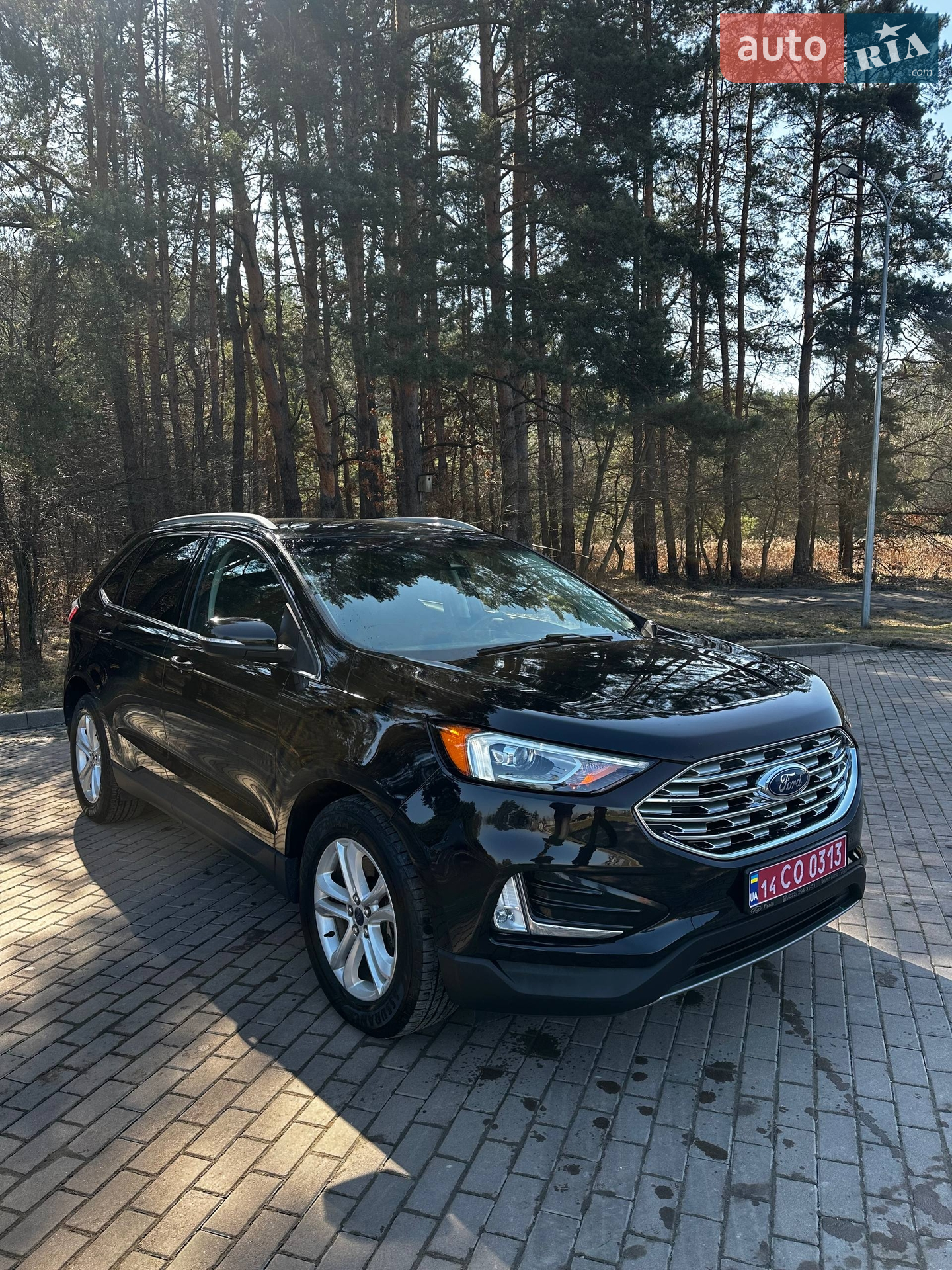 2019 Ford Edge - мініатюра 2
