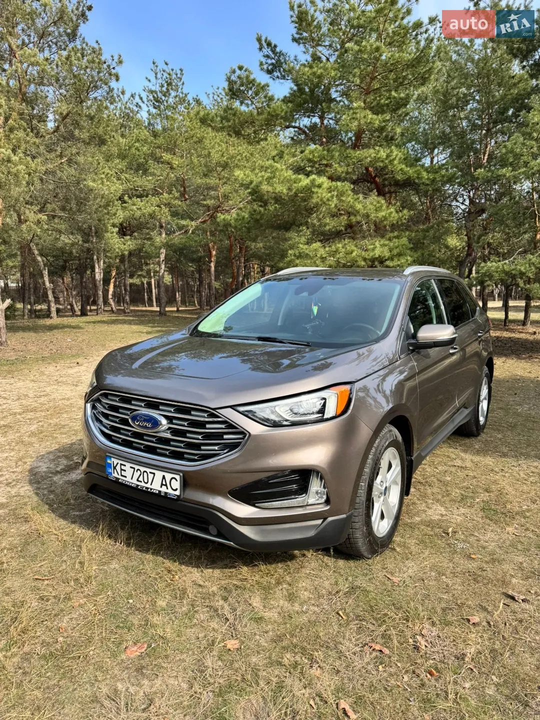 2019 Ford Edge - мініатюра 2
