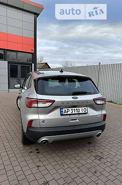 Позашляховик / Кросовер Ford Escape 2020 в Запоріжжі