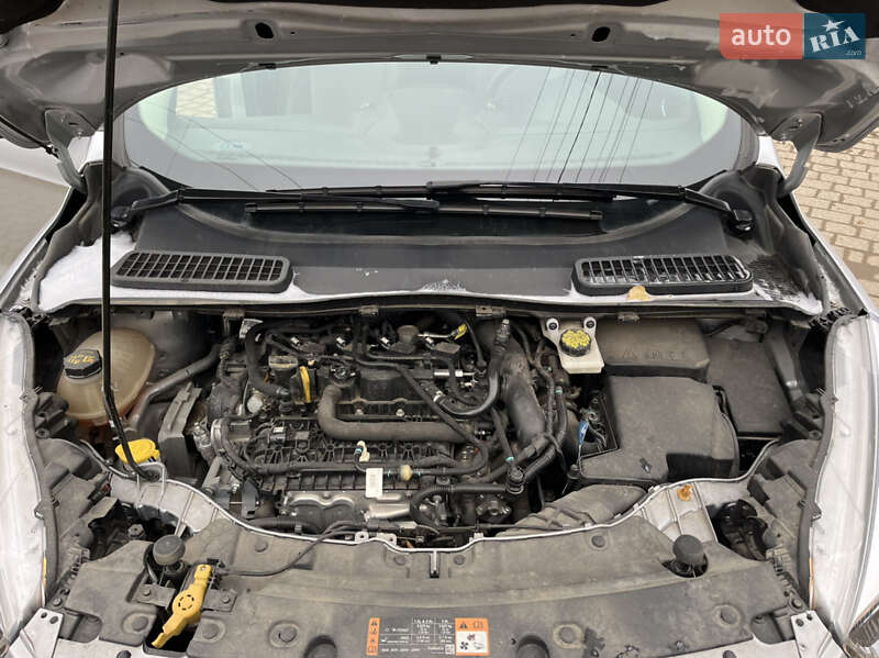 Позашляховик / Кросовер Ford Escape 2019 в Львові