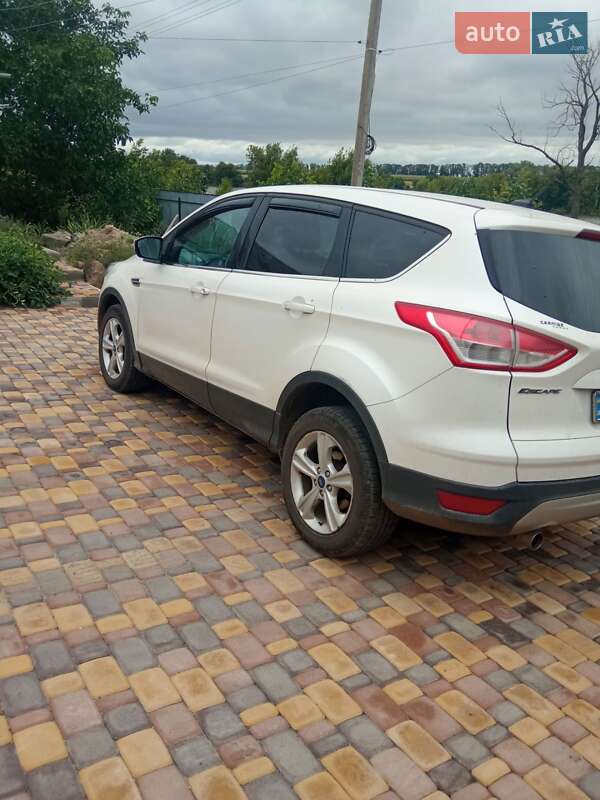 Внедорожник / Кроссовер Ford Escape 2013 в Казатине фото 4 Внедорожник / Кроссовер Ford Escape 2013 в Казатине