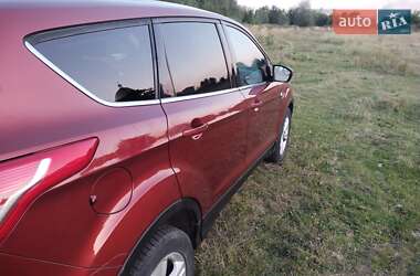 Позашляховик / Кросовер Ford Escape 2016 в Шептицькому
