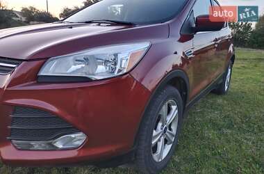 Позашляховик / Кросовер Ford Escape 2016 в Шептицькому