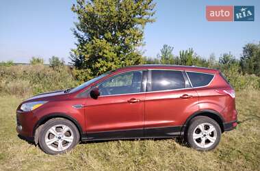 Позашляховик / Кросовер Ford Escape 2016 в Шептицькому