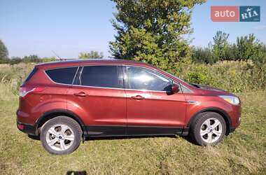 Позашляховик / Кросовер Ford Escape 2016 в Шептицькому