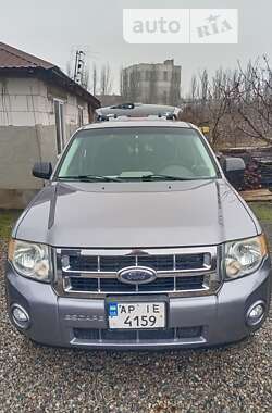 Позашляховик / Кросовер Ford Escape 2007 в Запоріжжі