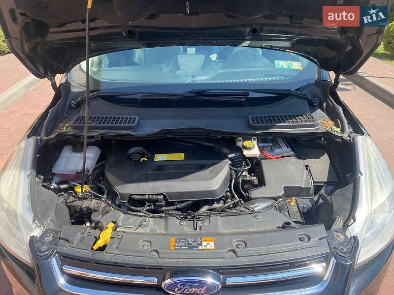 Внедорожник / Кроссовер Ford Escape 2013 в Стрые