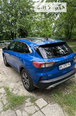 Позашляховик / Кросовер Ford Escape 2020 в Львові