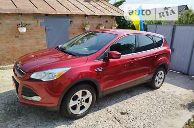 Внедорожник / Кроссовер Ford Escape 2013 в Полтаве