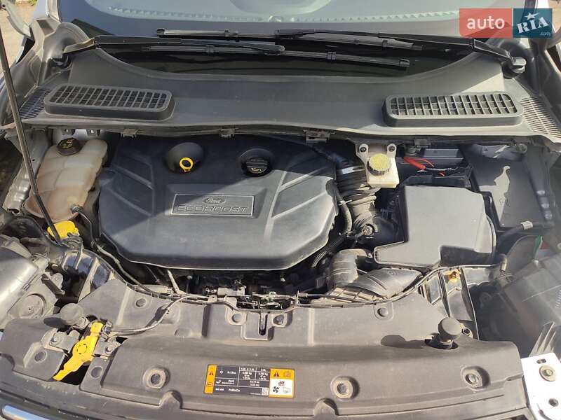 Внедорожник / Кроссовер Ford Escape 2015 в Полтаве фото 23 Внедорожник / Кроссовер Ford Escape 2015 в Полтаве