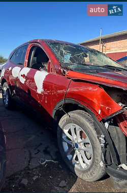 Внедорожник / Кроссовер Ford Escape 2019 в 