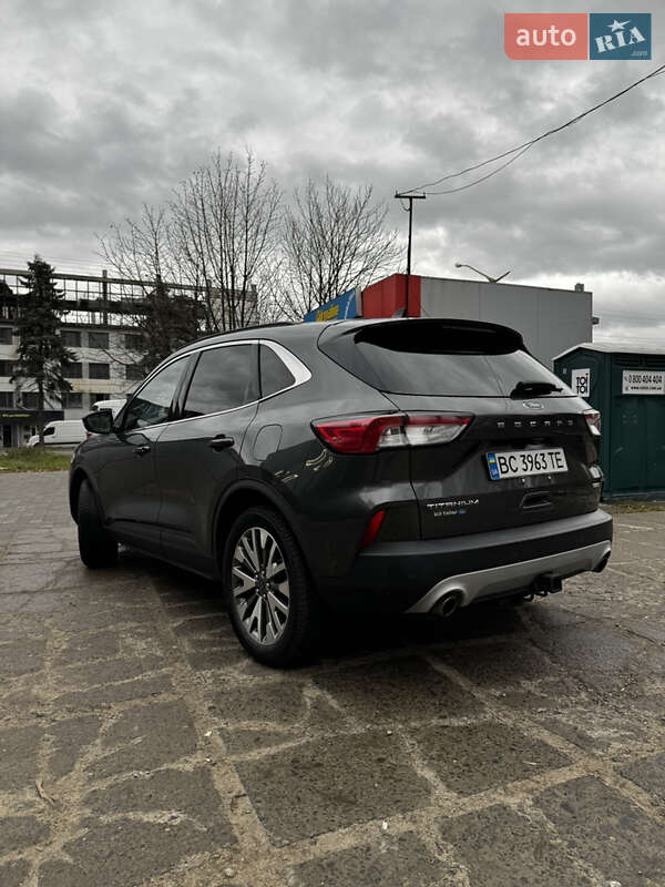 Позашляховик / Кросовер Ford Escape 2020 в Львові