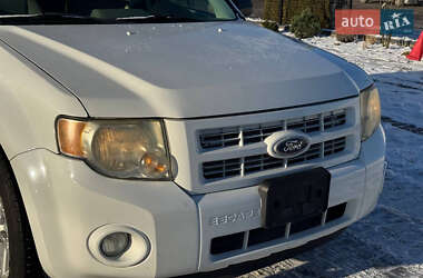 Позашляховик / Кросовер Ford Escape 2010 в Львові