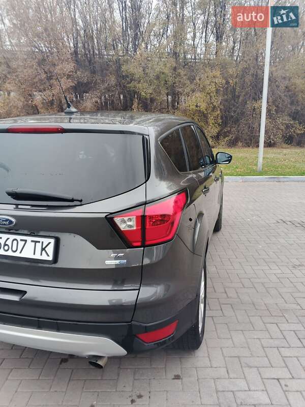 Внедорожник / Кроссовер Ford Escape 2019 в Каменском фото 21 Внедорожник / Кроссовер Ford Escape 2019 в Каменском