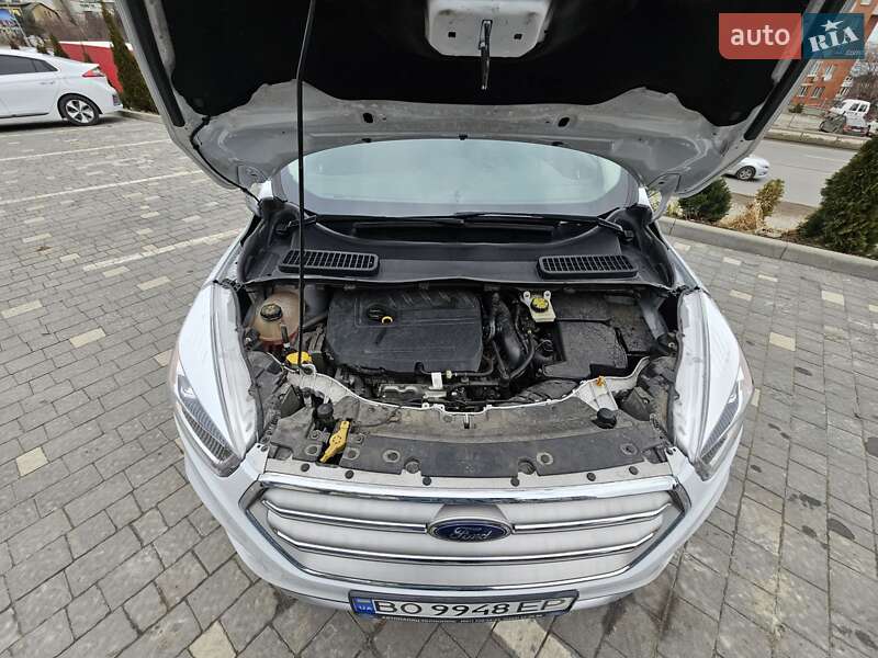 Внедорожник / Кроссовер Ford Escape 2019 в Тернополе фото 20 Внедорожник / Кроссовер Ford Escape 2019 в Тернополе
