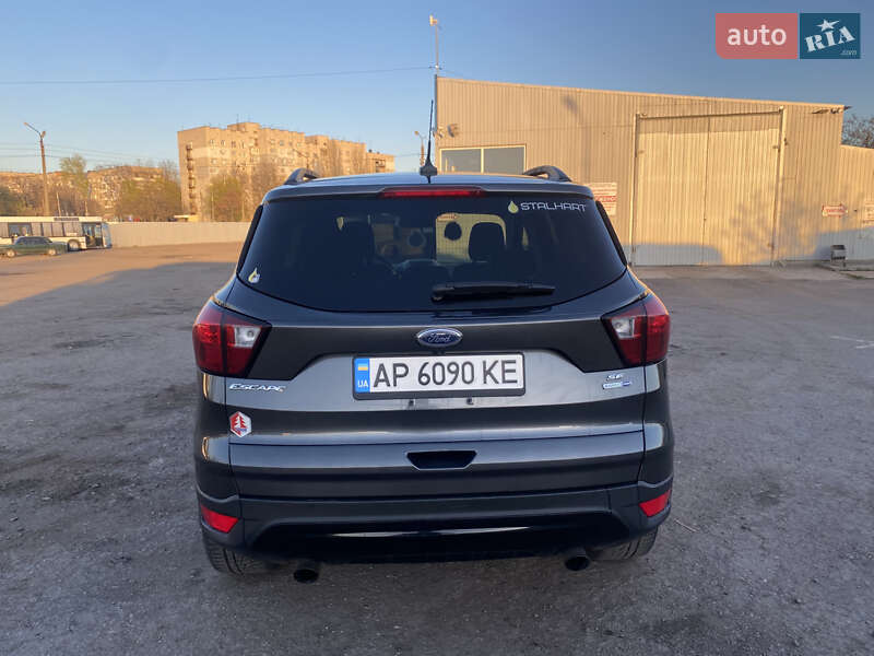 Внедорожник / Кроссовер Ford Escape 2019 в Запорожье