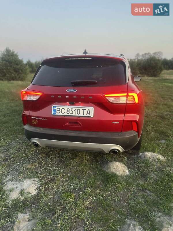 Внедорожник / Кроссовер Ford Escape 2020 в Львове
