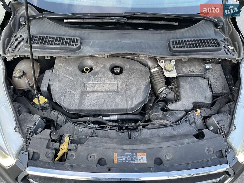 Внедорожник / Кроссовер Ford Escape 2017 в Киеве