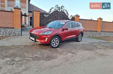 Позашляховик / Кросовер Ford Escape 2019 в Полтаві