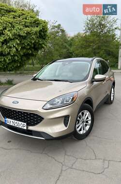 Внедорожник / Кроссовер Ford Escape 2021 в Чайках