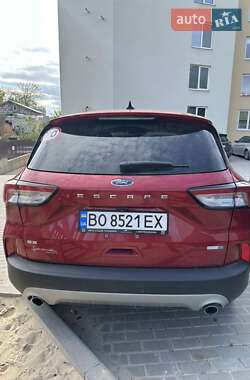 Внедорожник / Кроссовер Ford Escape 2020 в 