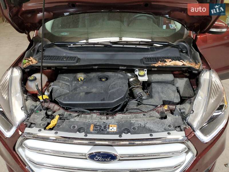 Позашляховик / Кросовер Ford Escape 2019 в Львові