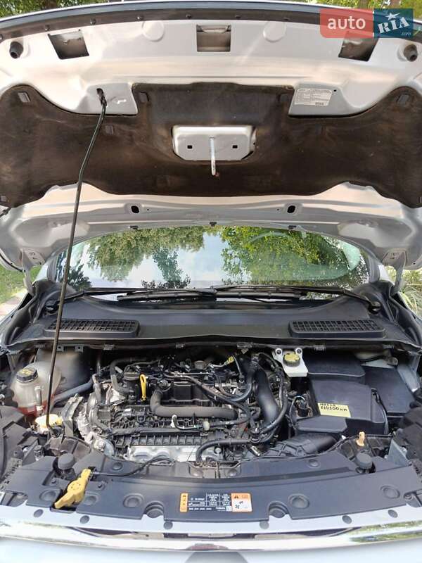 Внедорожник / Кроссовер Ford Escape 2019 в Бершади