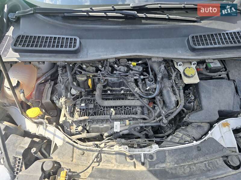 Внедорожник / Кроссовер Ford Escape 2019 в Львове