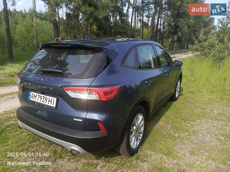 Внедорожник / Кроссовер Ford Escape 2020 в Житомире