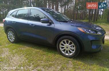 Позашляховик / Кросовер Ford Escape 2020 в Житомирі