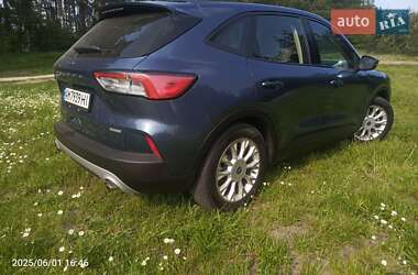 Позашляховик / Кросовер Ford Escape 2020 в Житомирі