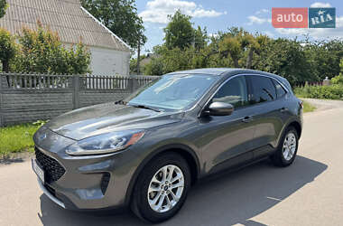 Внедорожник / Кроссовер Ford Escape 2020 в Белой Церкви