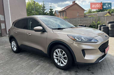 Внедорожник / Кроссовер Ford Escape 2020 в 