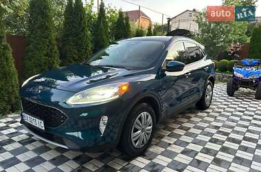 Позашляховик / Кросовер Ford Escape 2019 в Хмельницькому