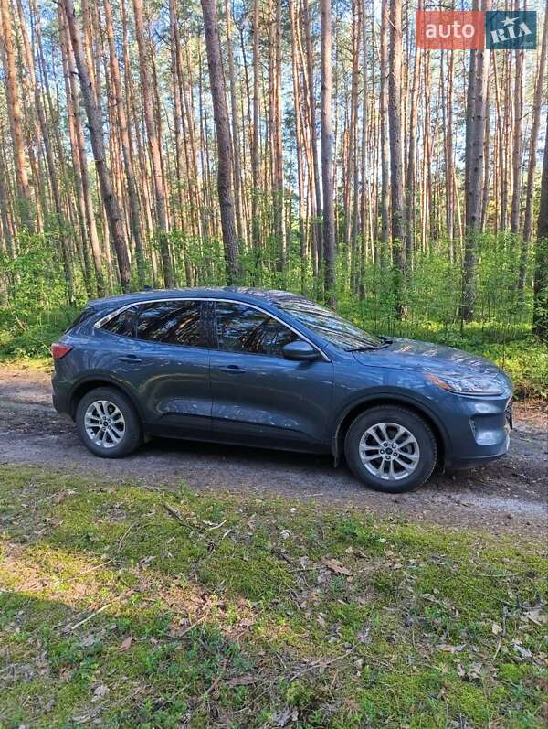 Позашляховик / Кросовер Ford Escape 2020 в Рава-Руській