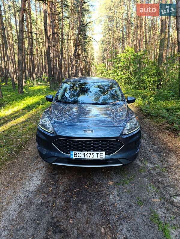 Позашляховик / Кросовер Ford Escape 2020 в Рава-Руській