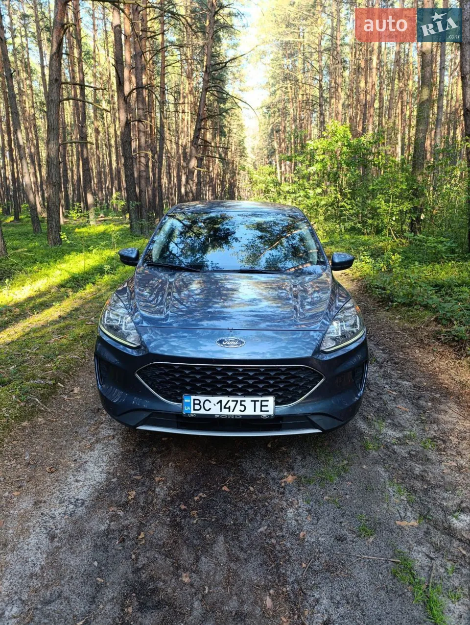 2019 Ford Escape - мініатюра 41