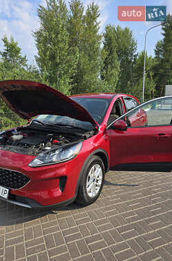 Позашляховик / Кросовер Ford Escape 2020 в 