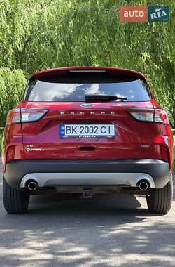 Внедорожник / Кроссовер Ford Escape 2021 в 