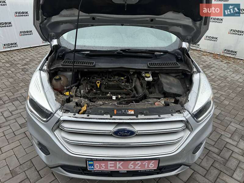 Внедорожник / Кроссовер Ford Escape 2019 в Луцке