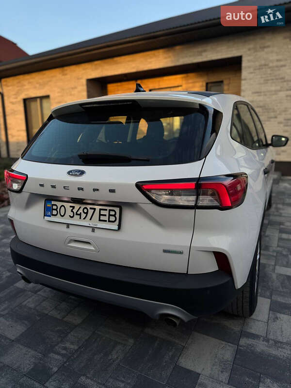 Внедорожник / Кроссовер Ford Escape 2019 в Тернополе